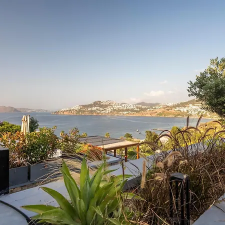 Rams And Bodroombnb Villa
