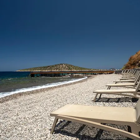 Rams And Bodroombnb Villa *